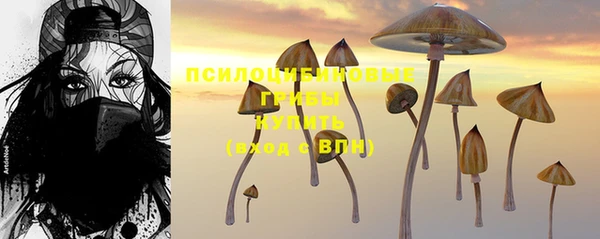 меф Армянск