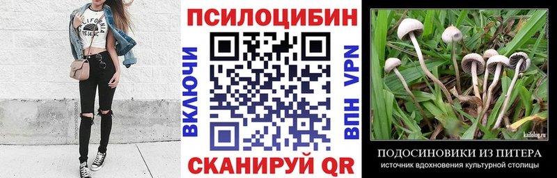 Псилоцибиновые грибы Cubensis  Купить где  Лянтор 